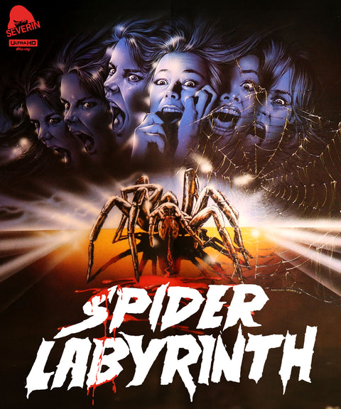 Spider Labyrinth