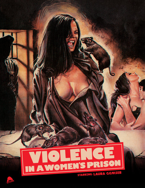 Violence in a Women's Prison