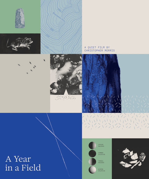 A Year In A Field