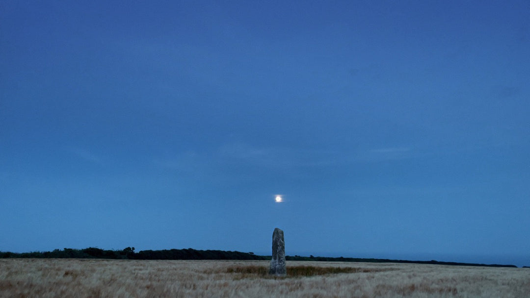 A Year In A Field [Blu-ray w/Slipcase]