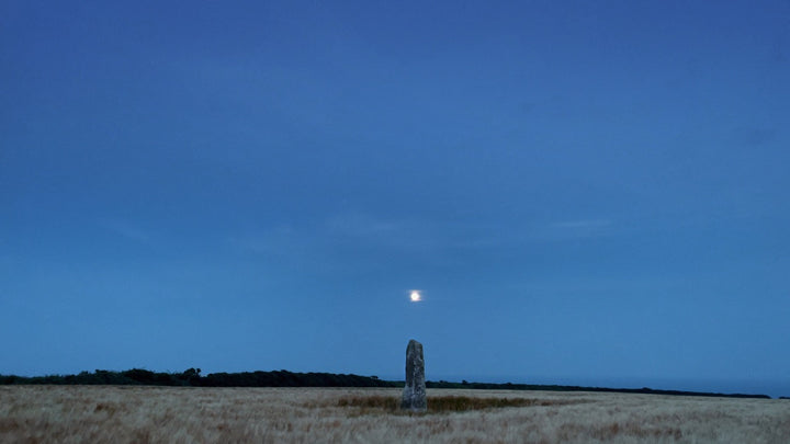 A Year In A Field [Blu-ray w/Slipcase]
