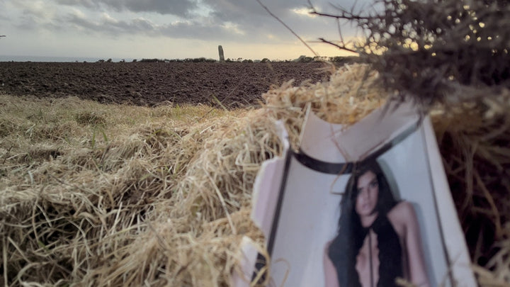 A Year In A Field [Blu-ray w/Slipcase]