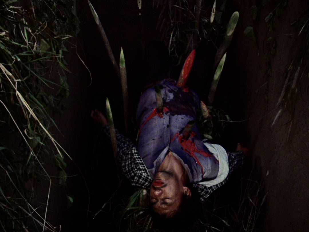 Fear in the Philippines: The Complete Blood Island Films [2-Disc Blu-ray w/Slipcase]