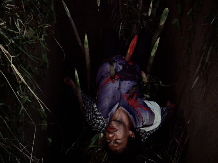 Fear in the Philippines: The Complete Blood Island Films [2-Disc Blu-ray w/Slipcase]