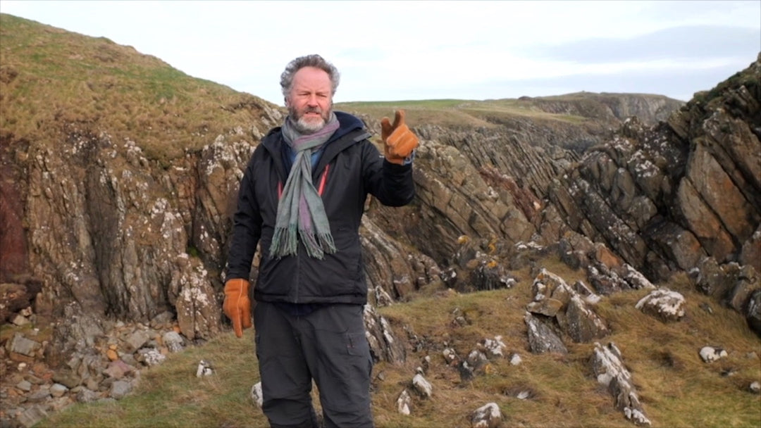 Children of the Wicker Man [Blu-ray] (North America Only)