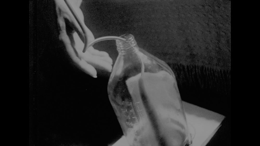 Gutter Auteur: The Lost Legacy of Andy Milligan [3-Disc Blu-ray Box Set]