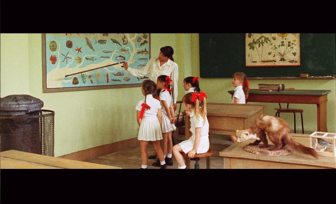 The Worlds of Lucile Hadžihalilović [4-Disc Blu-ray Box Set + Book]