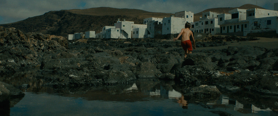 The Worlds of Lucile Hadžihalilović [4-Disc Blu-ray Box Set + Book]