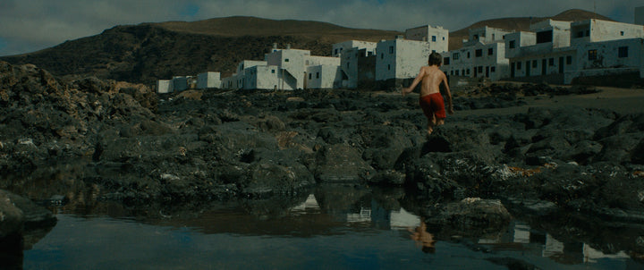 The Worlds of Lucile Hadžihalilović [4-Disc Blu-ray Box Set + Book]