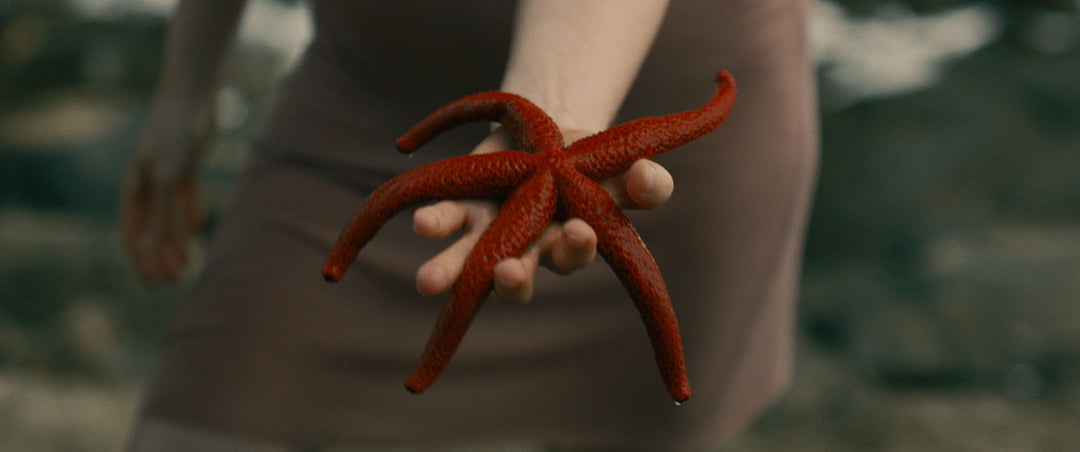 The Worlds of Lucile Hadžihalilović [4-Disc Blu-ray Box Set + Book]