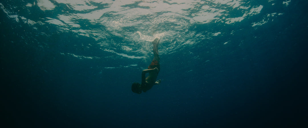 The Worlds of Lucile Hadžihalilović [4-Disc Blu-ray Box Set + Book]