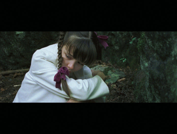 The Worlds of Lucile Hadžihalilović [4-Disc Blu-ray Box Set + Book]