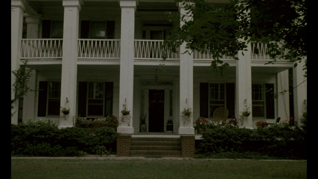 Gutter Auteur: The Lost Legacy of Andy Milligan [3-Disc Blu-ray Box Set]