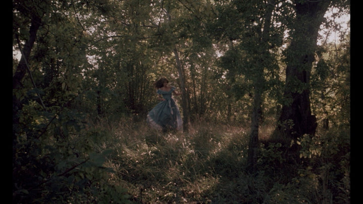 Gutter Auteur: The Lost Legacy of Andy Milligan [3-Disc Blu-ray Box Set]