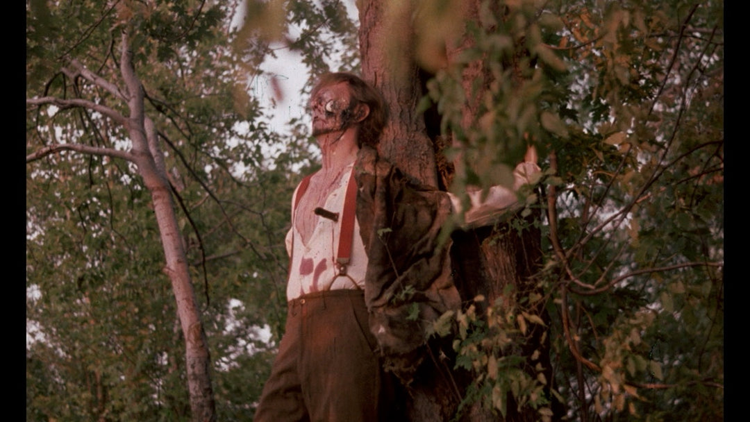 Gutter Auteur: The Lost Legacy of Andy Milligan [3-Disc Blu-ray Box Set]