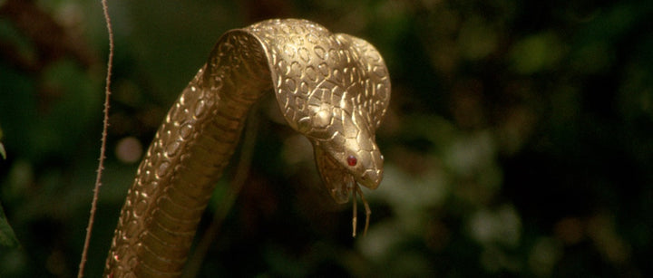 ANTONIO MARGHERITI & THE JUNGLES OF DOOM:  HIS ‘80s ADVENTURE FILMS [3 4K UHD Films in Limited Edition Collection Slipcase]