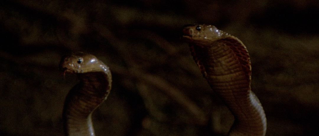 ANTONIO MARGHERITI & THE JUNGLES OF DOOM:  HIS ‘80s ADVENTURE FILMS [3 4K UHD Films in Limited Edition Collection Slipcase]