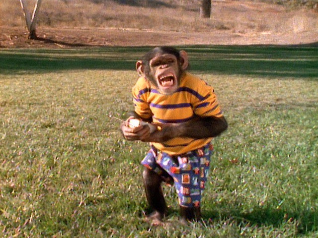 The Idiot Box [Blu-ray w/LE Slipcover]