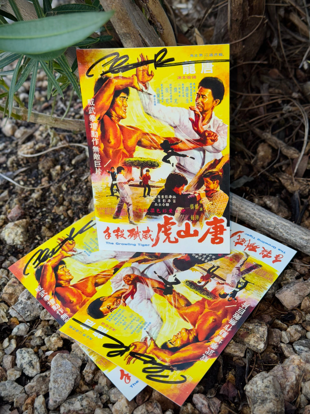 THE BLACK DRAGON VS. THE YELLOW TIGER Postcard Signed By Grandmaster Clint Robinson [DAMAGED]