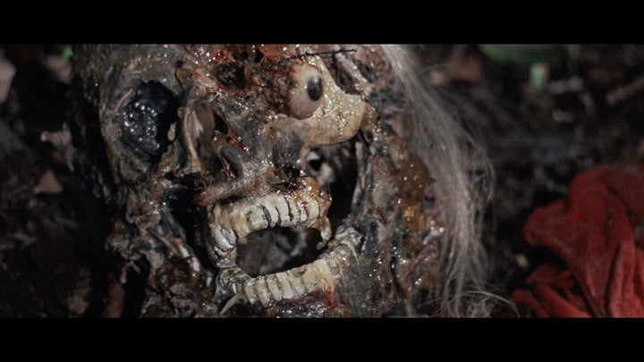Last Cannibal World [LE 3-Disc 4K UHD + Booklet w/Exclusive Slipcover]