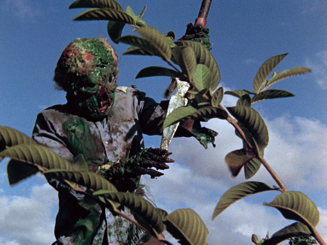 Fear in the Philippines: The Complete Blood Island Films [2-Disc Blu-ray w/Slipcase]