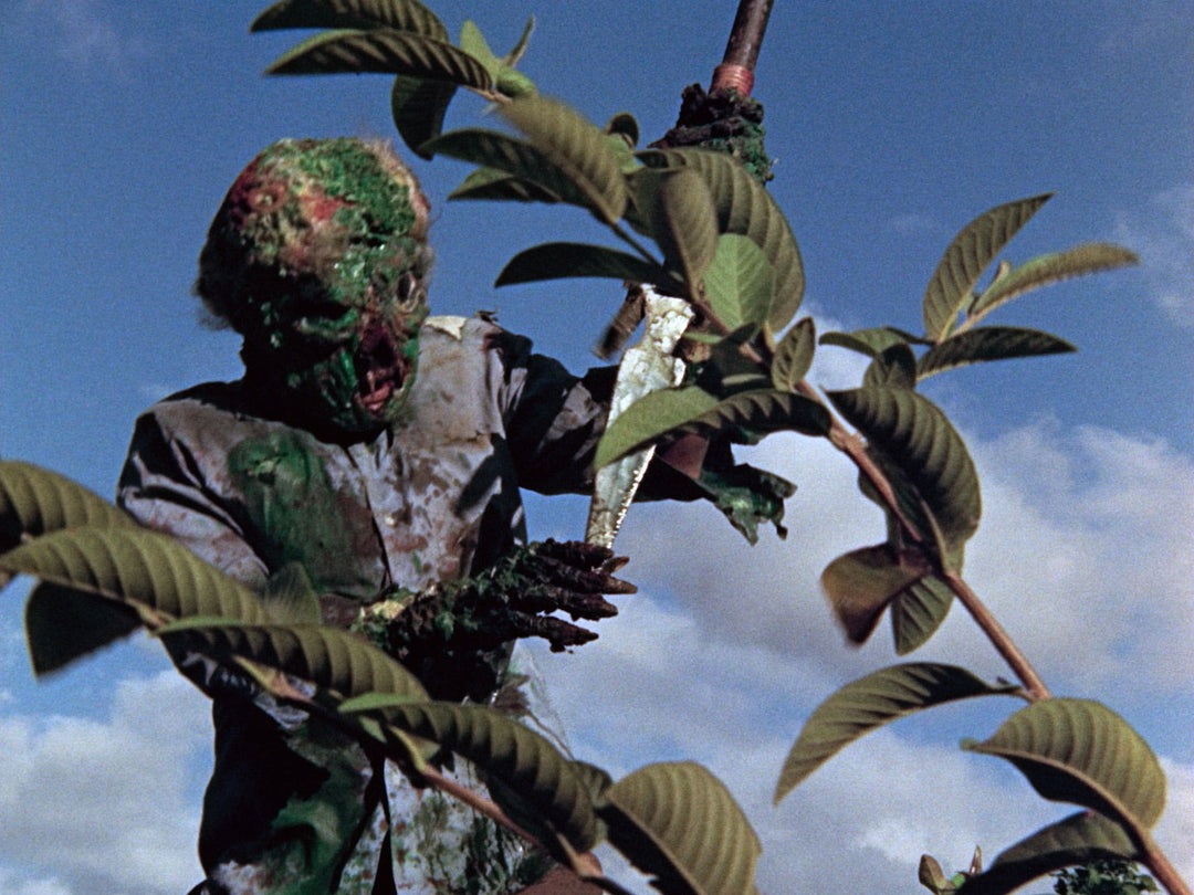 Fear in the Philippines: The Complete Blood Island Films [2-Disc Blu-ray w/Slipcase]