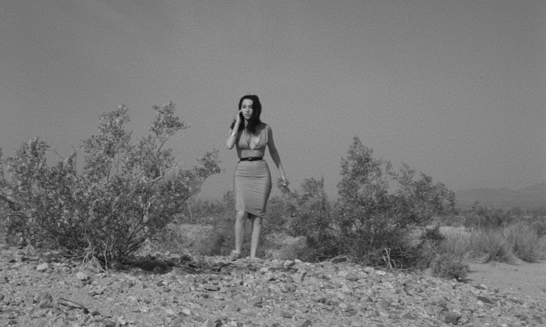The Russ Meyer Mega Bundle [450 Limit]