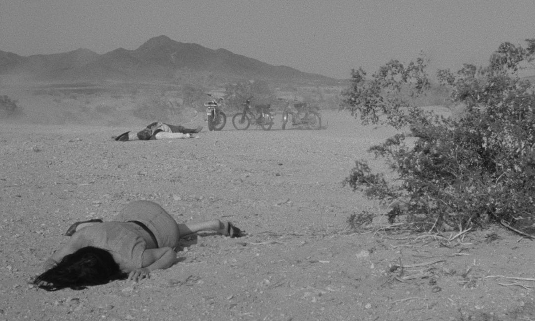 The Russ Meyer Mega Bundle [450 Limit]
