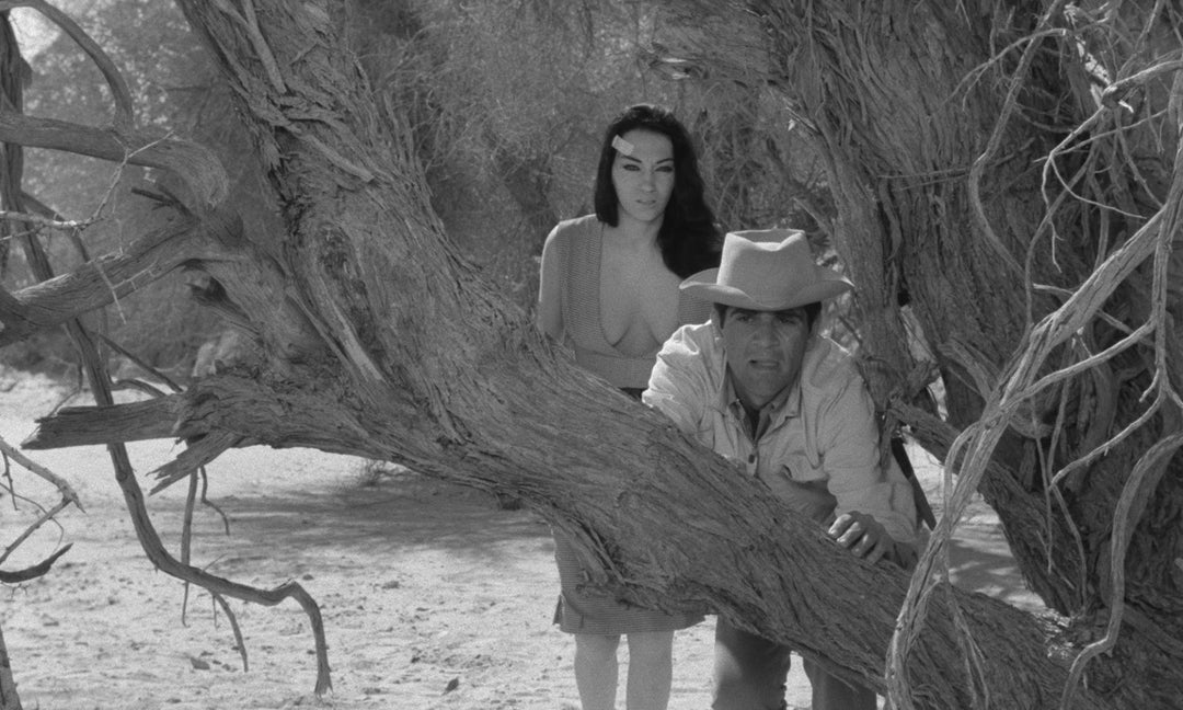 The Russ Meyer Mega Bundle [450 Limit]