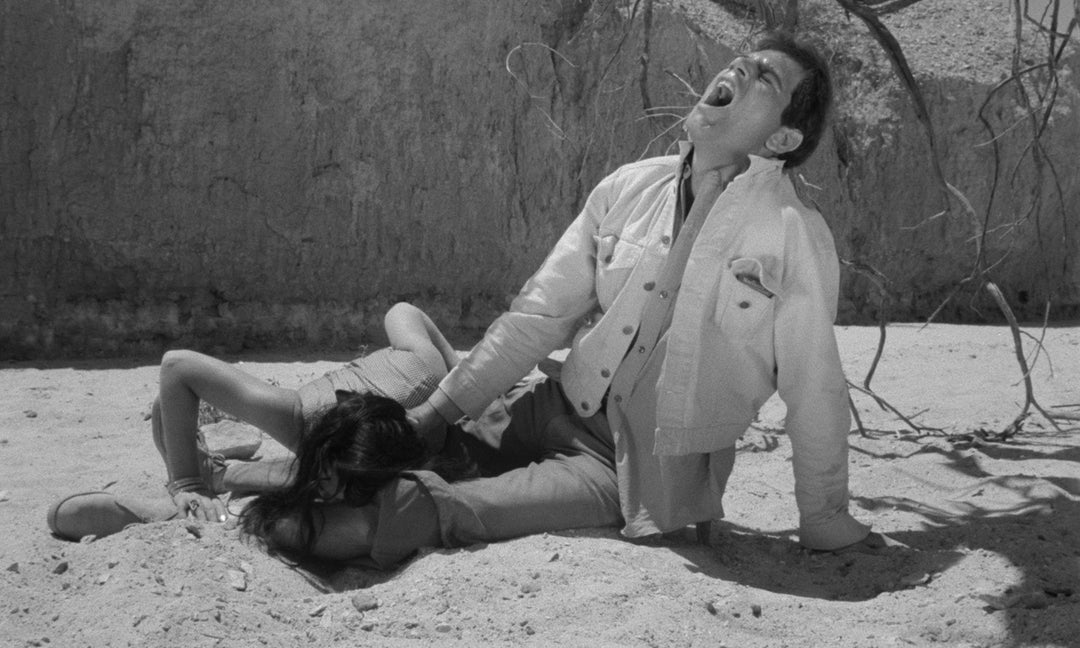 The Russ Meyer Mega Bundle [450 Limit]