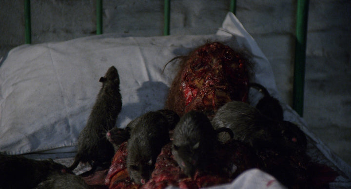 Rats: Night of Terror [LE 3-Disc 4K UHD + CD w/Exclusive Slipcover]
