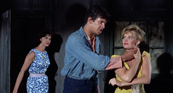 Hard Wood: The Adult Features of Ed Wood [3-Disc Blu-ray]