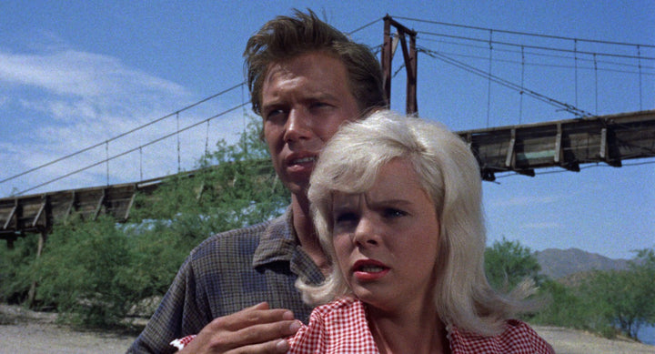 Hard Wood: The Adult Features of Ed Wood [3-Disc Blu-ray]