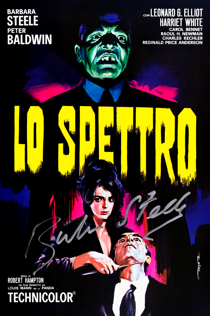 The Bava | Freda Bundle [Limited to 200]