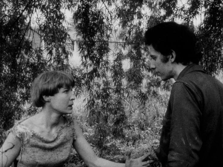 Gutter Auteur: The Lost Legacy of Andy Milligan [3-Disc Blu-ray Box Set]