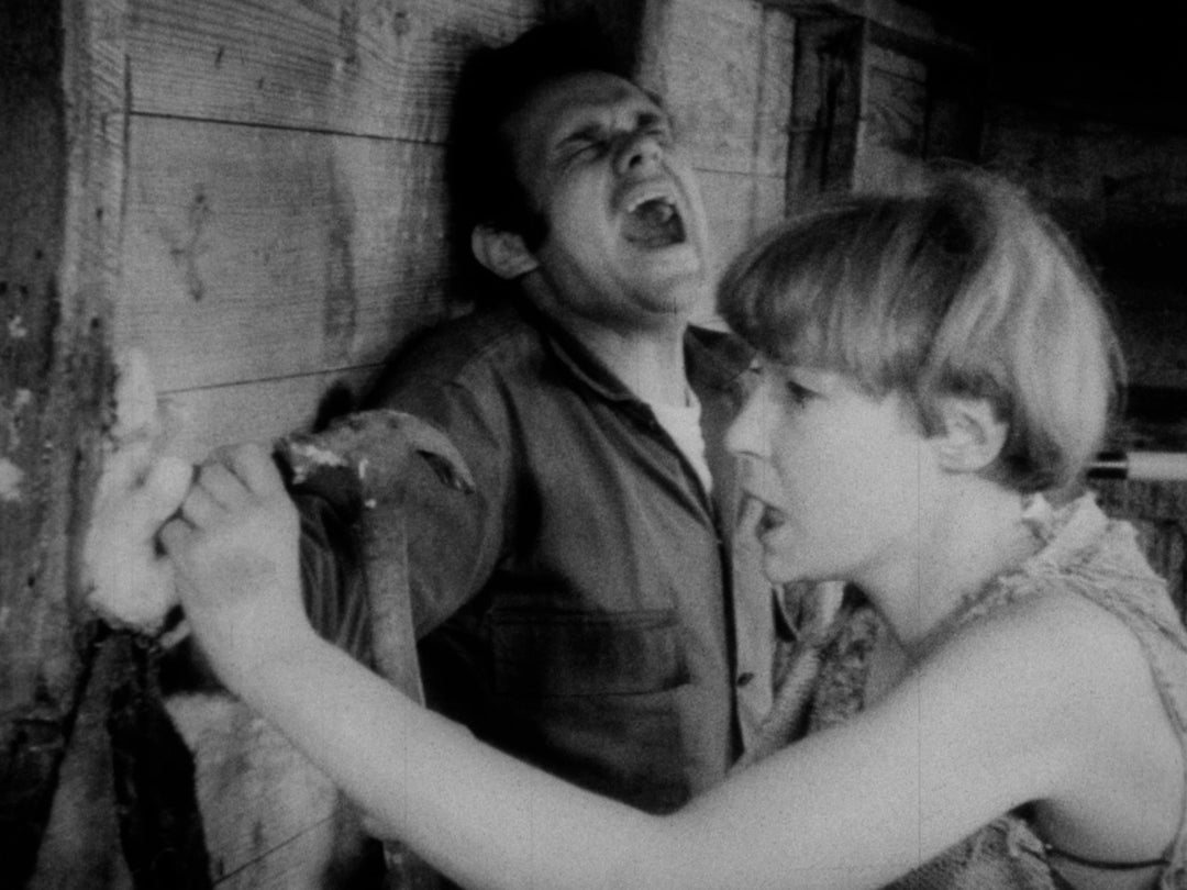 Gutter Auteur: The Lost Legacy of Andy Milligan [3-Disc Blu-ray Box Set]