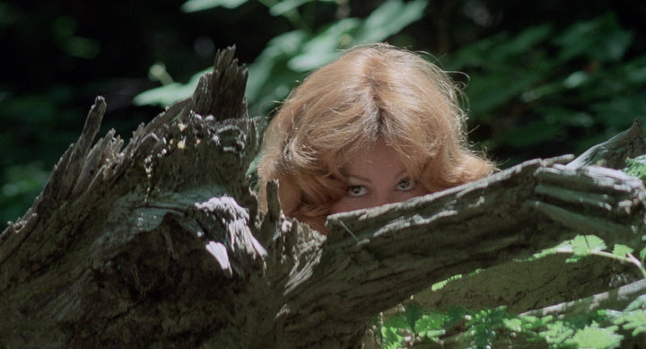 Russ Meyer's Up! [Blu-ray]