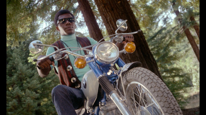 Russ Meyer's Vixen. [Blu-ray]