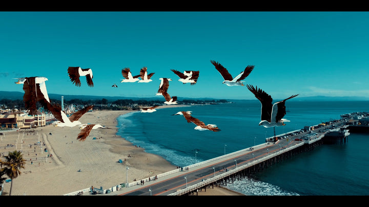 Birdemic 3: Sea Eagle [Blu-ray]