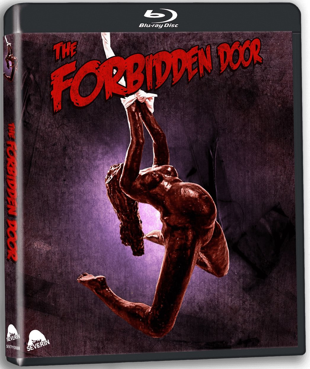 The Forbidden Door [Blu-ray]