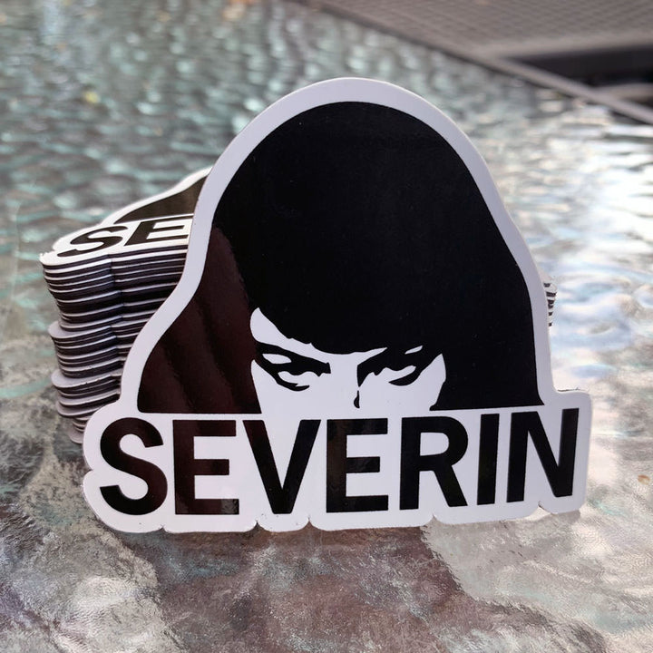Severin/Intervision Magnets